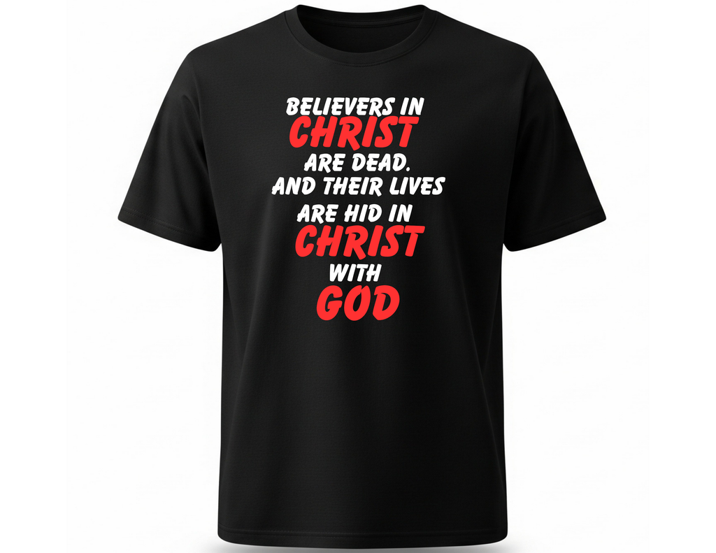 Men’s “Hidden in Christ” Christian T-Shirt – Set Your Affections Above