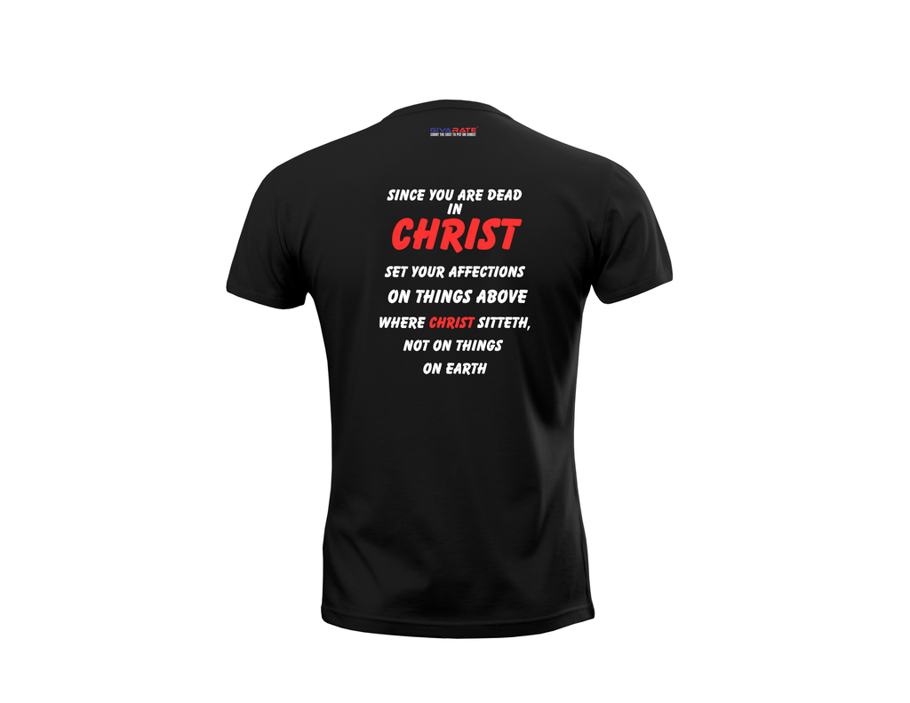 Women’s “Hidden in Christ” Christian T-Shirt – Set Your Affections Above
